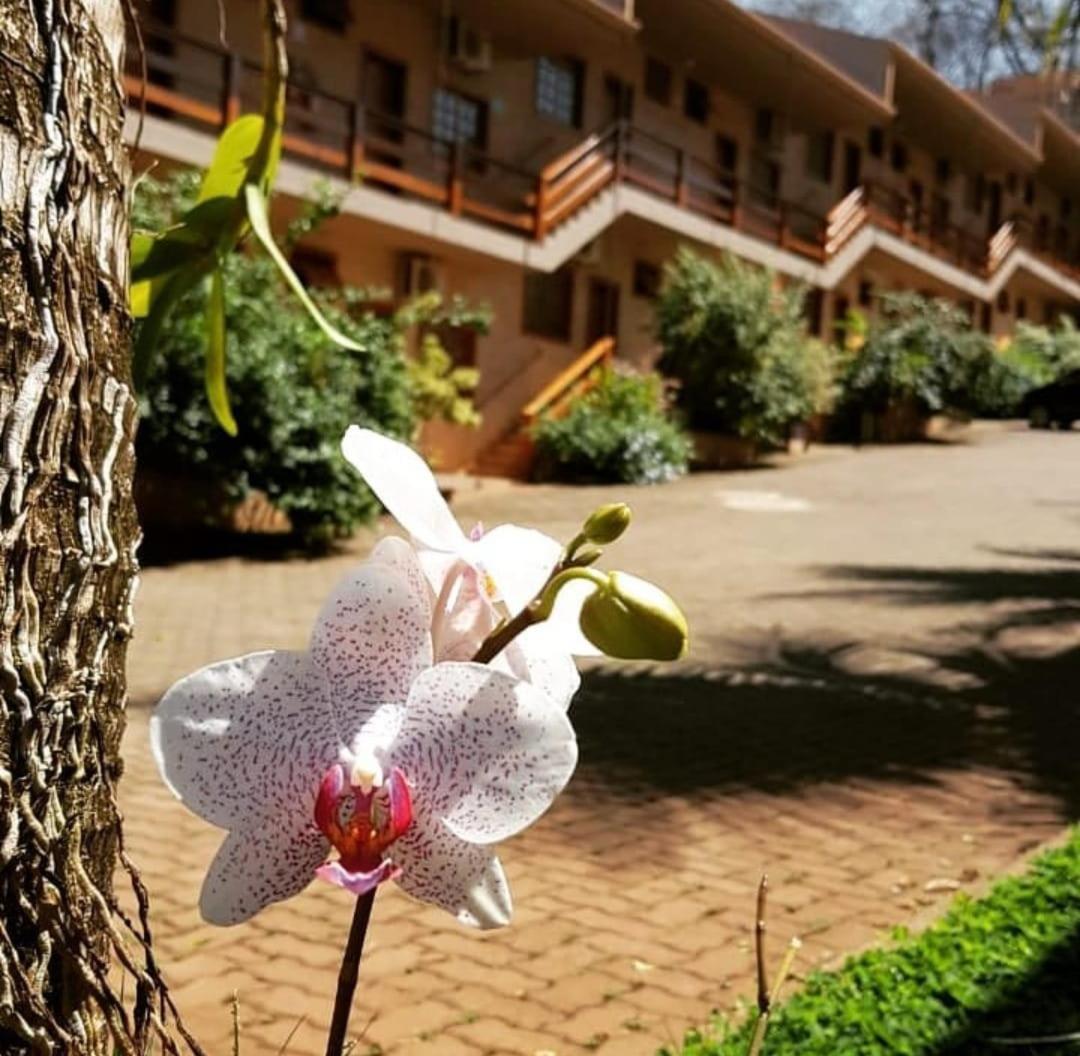 Hotel Pousada Santa Rita Ribeirão Preto Zewnętrze zdjęcie